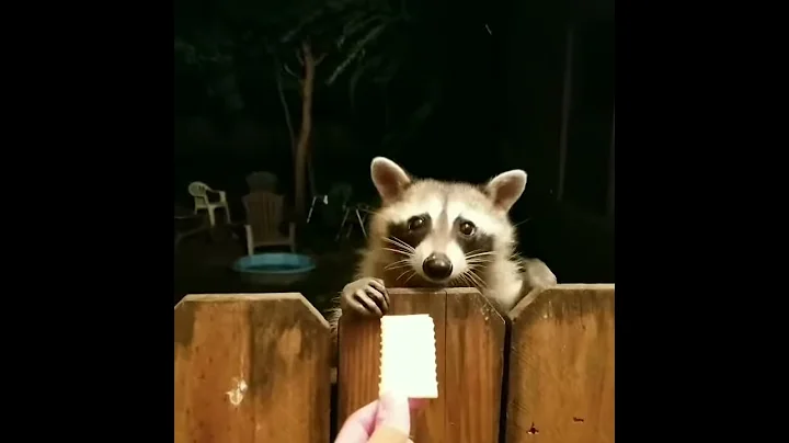 Cracker Dealer