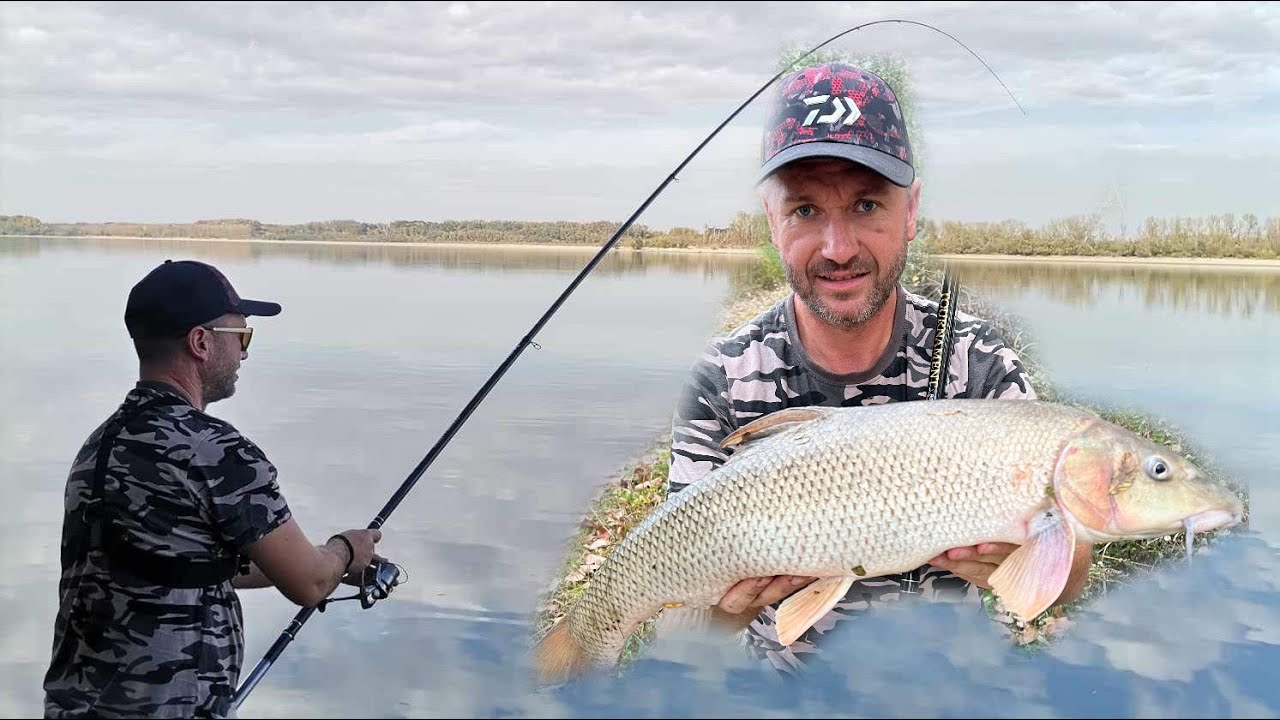 DUNAVSKE PODMORNICE - Pecanje Mrene na plovak