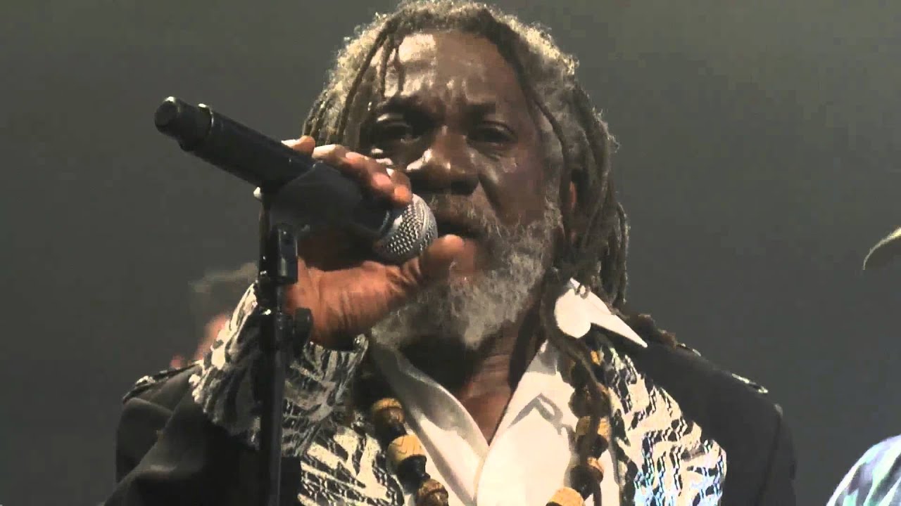 The Celtic Social Club - ft Winston McAnuff & Fixi and Steven Bodénes - Goadec in Da Club