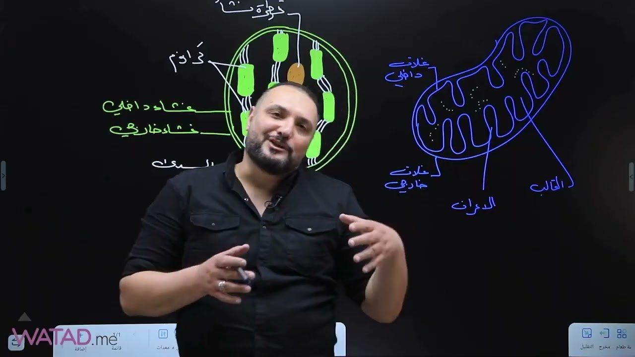 المراجعة المركزة  (الفصل الاول) 