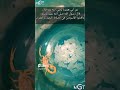 امسكت بعقرب فكانت النتيجة عقرب عقارب امسكت بعقرب فكانت النتيجة عقرب عقارب