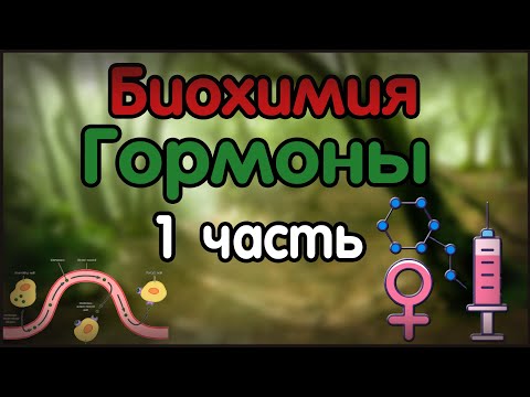 Биохимия. Лекция 24. Гормоны. 1 часть.