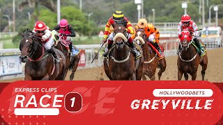 20230527 Hollywoodbets Greyville Express Clip Race 1 won by RAPIDASH