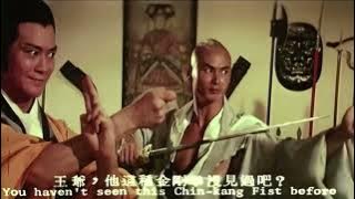 Gordon Liu and Adam Cheng vs Johnny Wang in Shaolin VS Wu Tang (1983)