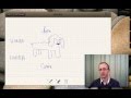 Le chien - Der Hund - The dog