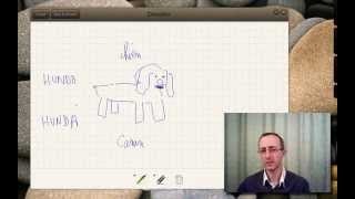 Le chien – Der Hund – The dog