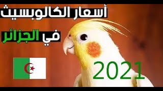 تعرف على اسعار الكالوبسيت ( الكوكتيل ) في الجزائر ??????