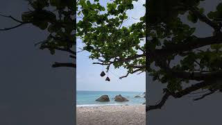 Beach Waves Serenity: A Peaceful Escape | Relaxing Ocean Scenes for Tranquility