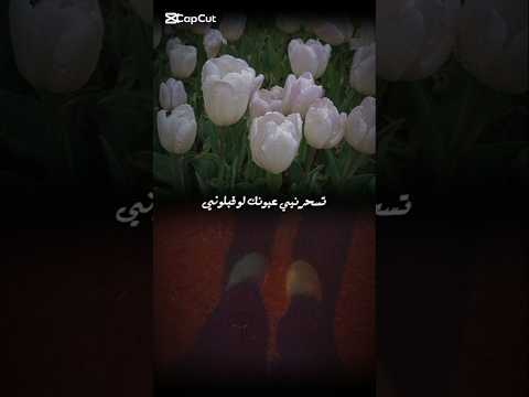 تسحرني عيونك لو قبلوني بدونموسيقى