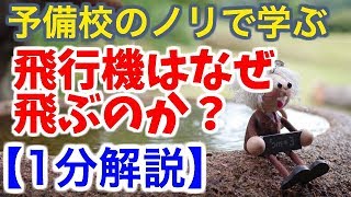 【1分解説】飛行機はなぜ飛ぶのか？【物理雑学】