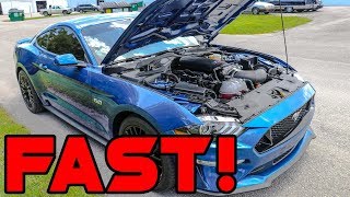 Full Bolt On Coyote N/A 2018 Mustang GT - Cobra Jet Intake Manifold, Longtubes, E85