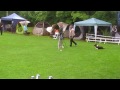 2013 06 29 Kid A Lauf Saarpfoten MOV537 Mp3 Song