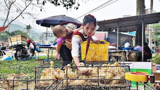 Go to the market to buy ducklings to raise and repair the cage for the ducklings to live in