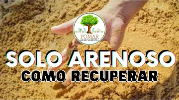 O que se planta em um solo arenoso?