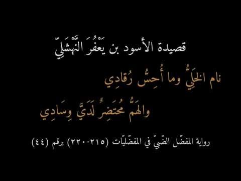 قصيدة الأسود بن يعفر النهشلي نام الخلي وما أحس رقادي بصوت عبدالرحمن السعيد