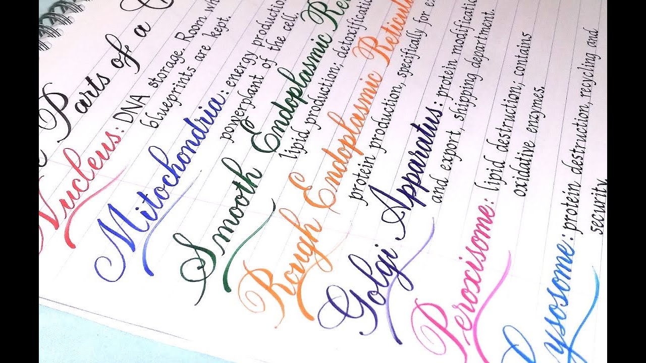 How to take neat notes clean handwriting for school: the parts of a ...