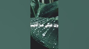 #قرآن #تلاوة_خاشعة #القرآن_الكريم #قرآن_كريم #قرآن_شورتس #القرآن_الشفاء #راحة_نفسية