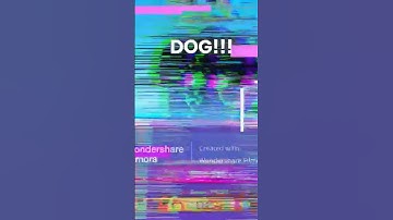 don