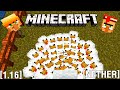 МОЯ ФЕРМА ► MINECRAFT