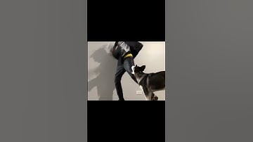 TheHxliday Demon Attack Snippet