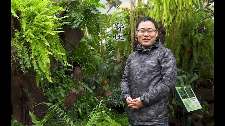 神奇的蕨類世界，歡迎進入上海辰山植物園溫室【小時間，大園藝】 - 天天要聞
