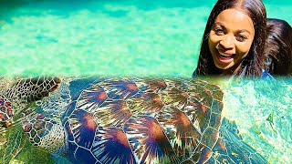 ZANZIBAR TRAVEL VLOG + SWIMMING W\/ TURTLES.