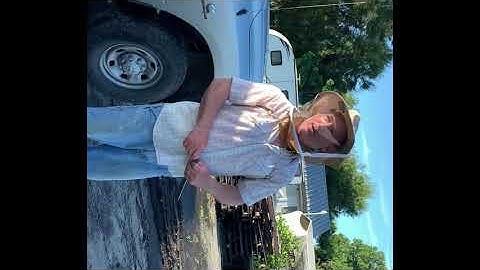 We Bought 30,000 HONEY BEES for our FARM!!🐝 #bees #honey #farm