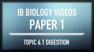 digestion ib sl biology past exam paper 1 questions