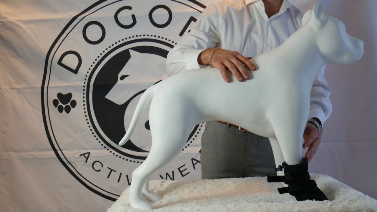 Best HighTop Dog Boots, Water resistant and won't fall off. YouTube