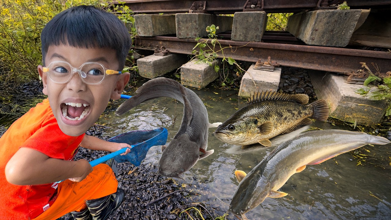 สูบน้ำจับปลาริมถนน ปลาดุกเยอะมาก พี่ปลื้ม