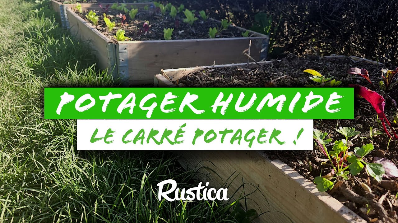 Potager humide : le carré potager - YouTube
