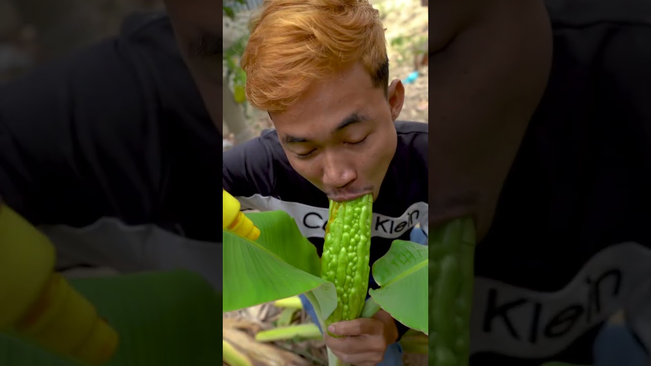 Outdoorfood SIMPLE But USEFUL Wow New Idea Unlocked Eating Bittermelon in Forest 