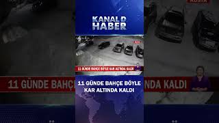 11 Günde Bahçe Böyle Kar Altında Kaldı Araçlar Böyle Görünmez Oldu
