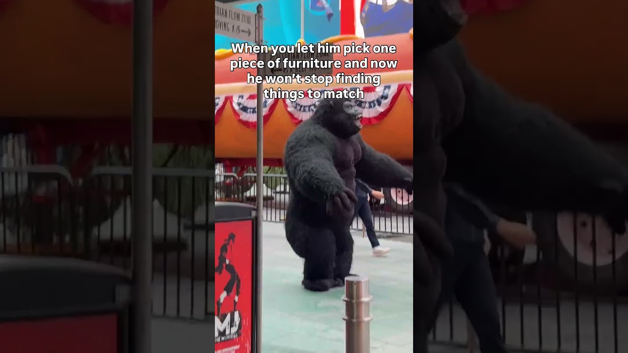 Gorilla couch + gorilla = perfection 🦍