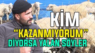 Asgari Ücretlinin Bir Yılda Aldığını,Hayvancılıkta Dört-Beş Ayda Kazanıyoruz!/30 KUZUMU ZEHİRLEDİLER