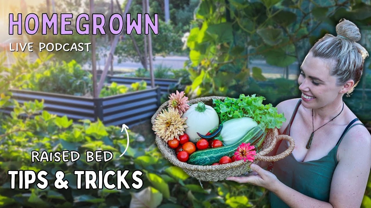 Top 10 Raised Garden Bed Tips for SUCCESSFUL harvests every season ...