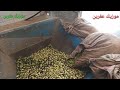 اغاني كردي حزين احمد خاني زفستانا رش اغاني كردي حزين Kurdish Music 