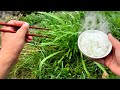 雑草を美味しく食べる方法