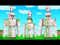 Which IRON GOLEM Is FAKE? (Minecraft Guess Who)