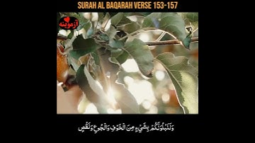 قرآن کریم پښتو ترجمه سورة البقرة آیات 153-157 Quran with pashto translation