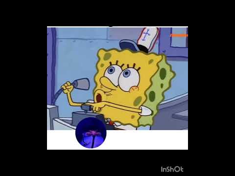 فيستا امبرميابل 