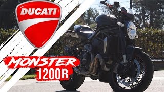 The Ducati Monster 1200R || A Motorcycle with BIG Balls, and an Even Bigger Price Tag