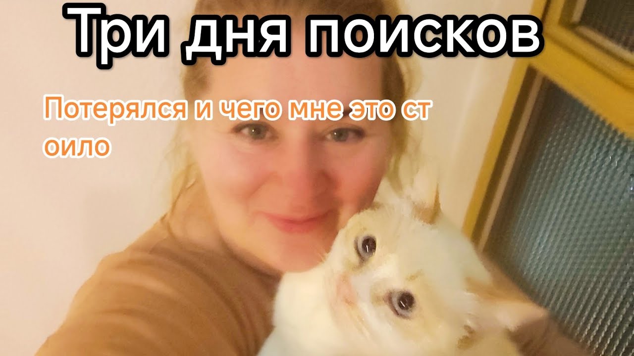 Пропал кот.Три дня бессонных ночей и поисков.#пропалкот#поиски#испания