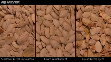MEYER - optical sorting various seeds // Sortowanie optyczne materiałów sypkich