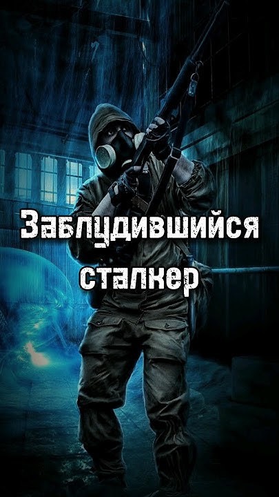 Заблудившийся Сталкер. Книги по сталкеру #даблган #сталкер #игры # ...