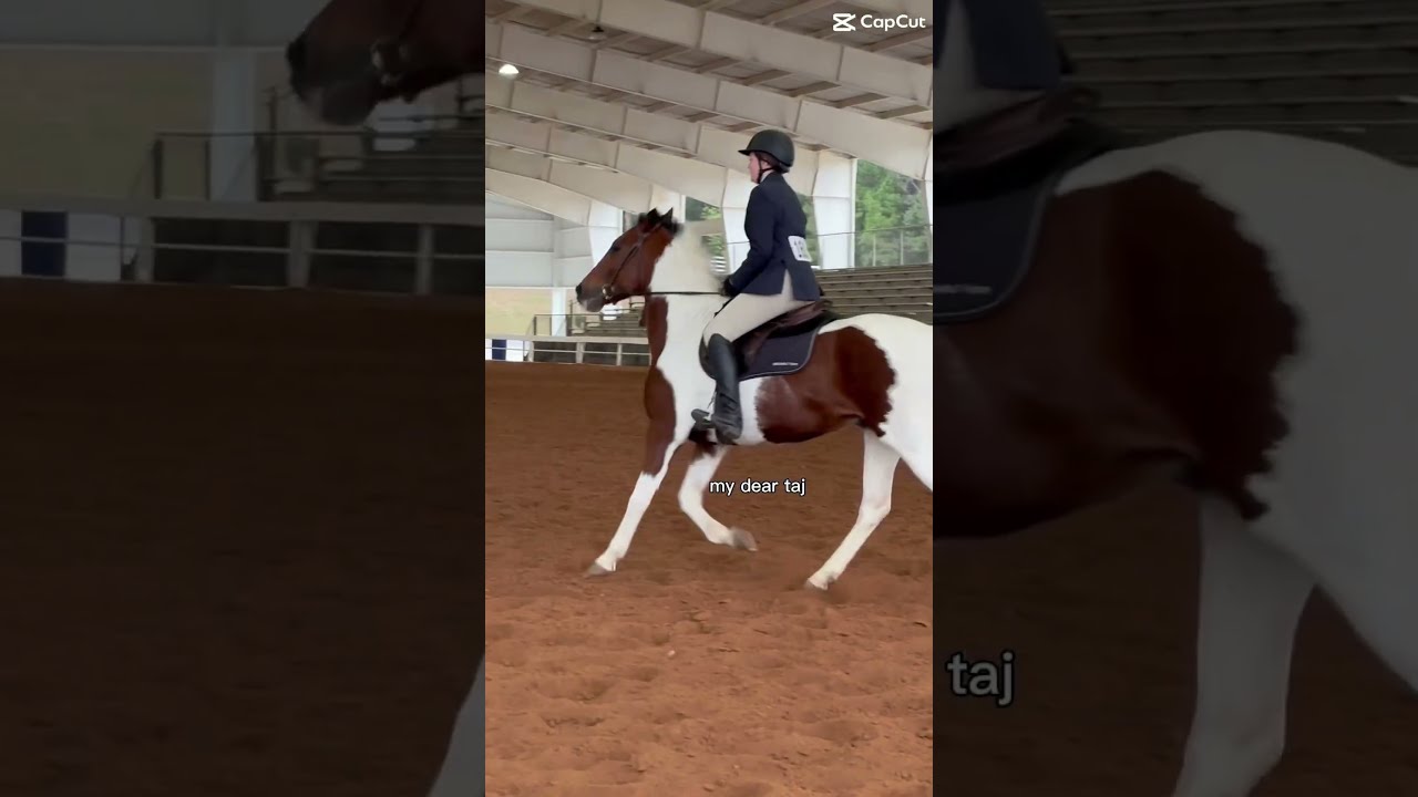 All Of These Horses Have Had The Biggest Impact On My Riding Horse Equestriansports Equestrian