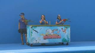 BIRDSHOW at Manila Ocean Park