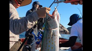 PESCA DE SIERRAS EN GUAYMAS SONORA