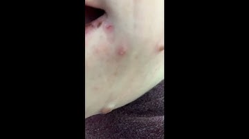 How to install maps to your Victor Reader Trek from your computer