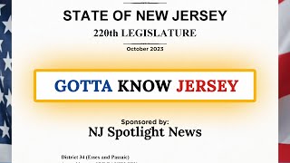 From a bill to the governor's desk, here's how laws are made in NJ | Gotta Know Jersey